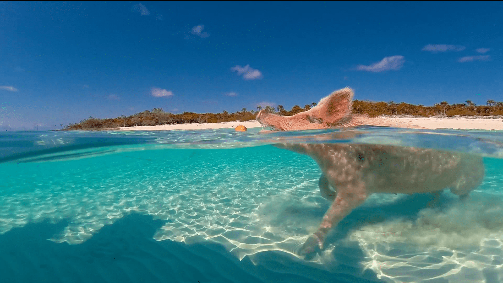 Screen-Shot-2017-07-04-at-11.42.27-AM-min