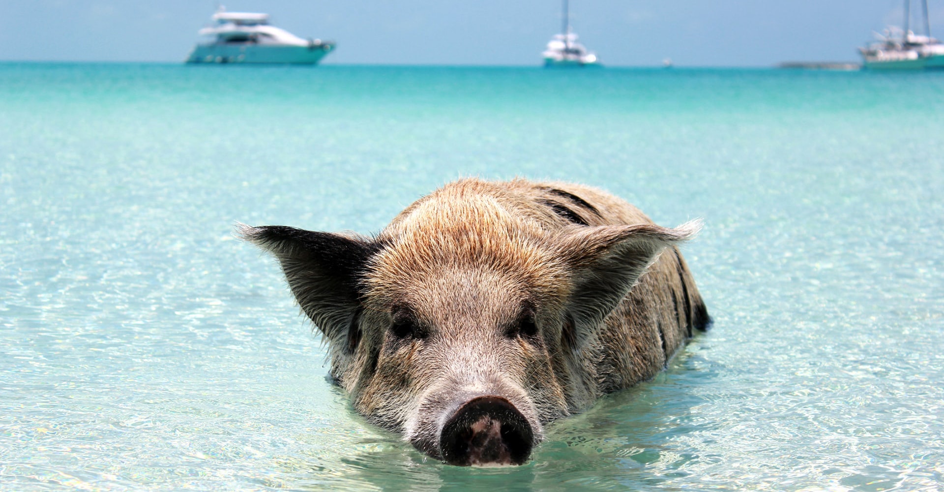 iStock-474405006-min-min